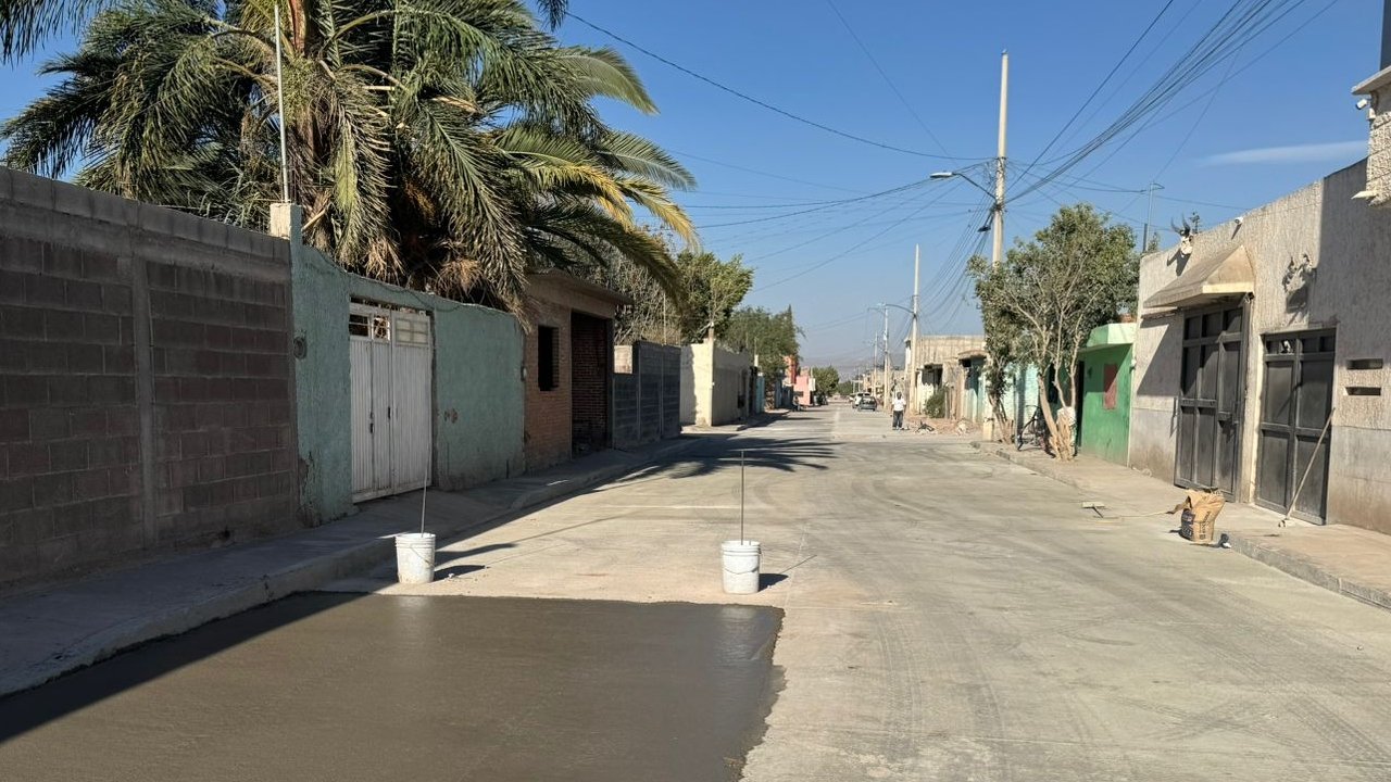 Nueva Foresta - img1